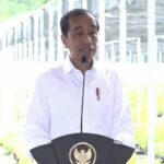 Jokowi Resmikan Fasilitas Persemaian 15 Juta Bibit di Mentawir IKN