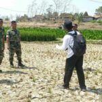 Kekeringan Parah, Rembang Ajukan Klaim Asuransi untuk 1.200 Hektar Sawah