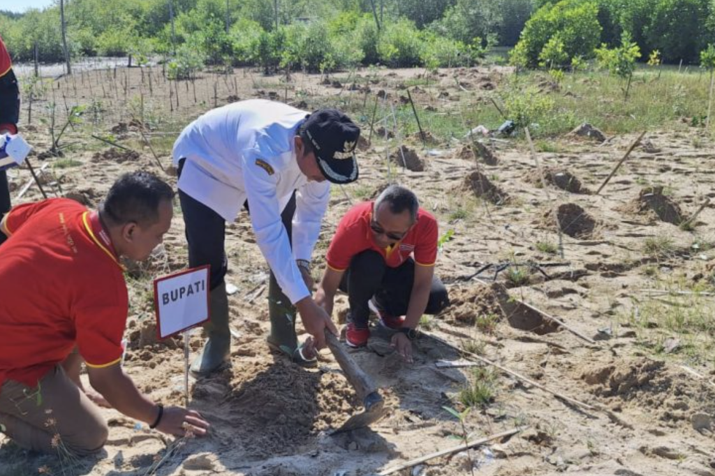 Tanam Mangrove, Pemkab Rembang Tegaskan Komitmen Pelestarian Hutan Pesisir