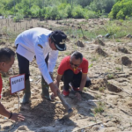 Tanam Mangrove, Pemkab Rembang Tegaskan Komitmen Pelestarian Hutan Pesisir