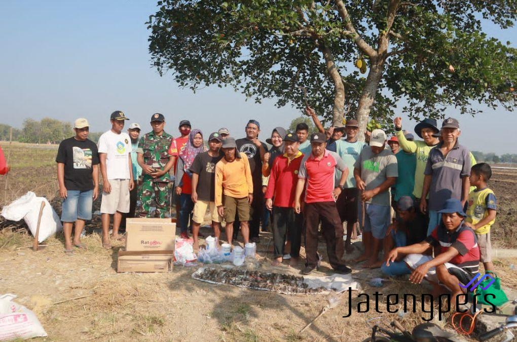 DP4 Blora Gandeng Petani Desa Jipang, Gropyokan Hama Tikus