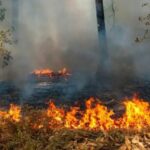 Jepara Alami Lonjakan Insiden Kebakaran