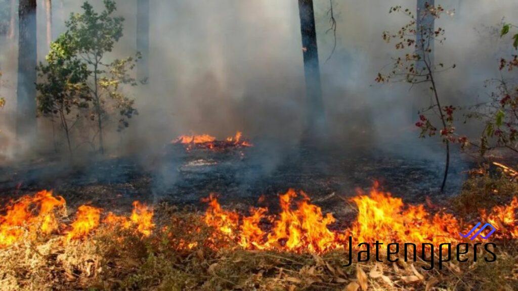 Jepara Alami Lonjakan Insiden Kebakaran