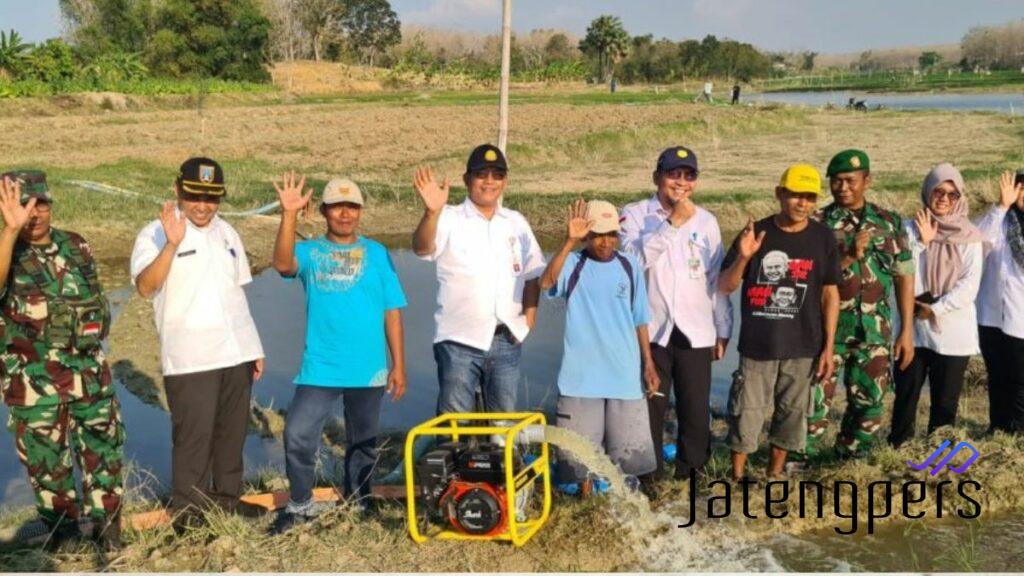 Bantuan Benih dan Pompa, Langkah Pemerintah Tingkatkan Produksi Padi