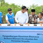 Terus Kembangkan Bahan Co-Firing Biomassa, PLN Bersama Kementan Luncurkan Model Pertanian Terpadu