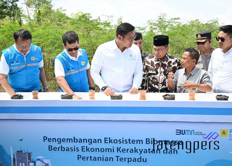 Terus Kembangkan Bahan Co-Firing Biomassa, PLN Bersama Kementan Luncurkan Model Pertanian Terpadu