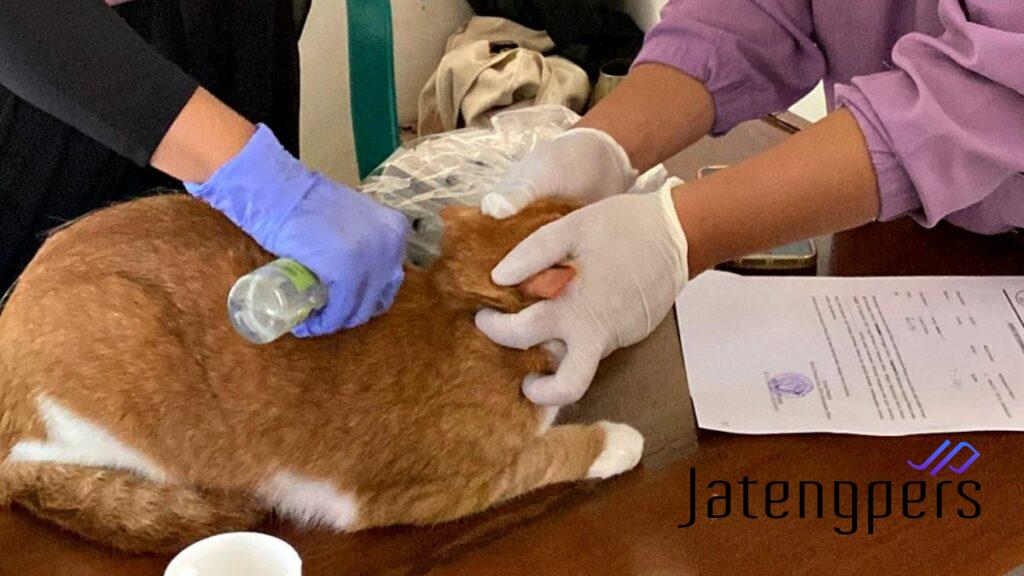 Peringati Hari Rabies Sedunia, Blora Gelar Vaksinasi Rabies Gratis untuk Anjing dan Kucing