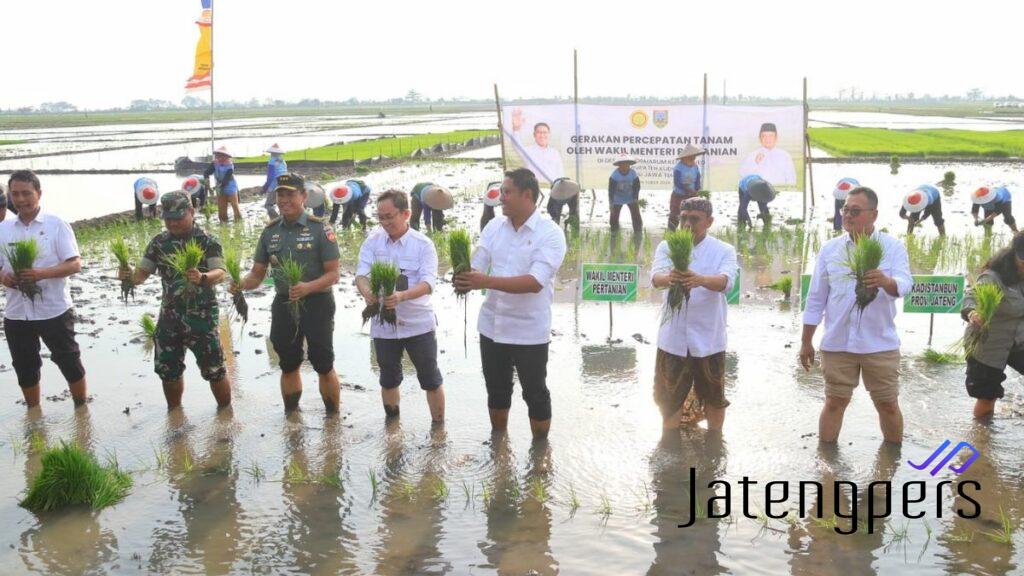 Wakil Menteri Pertanian Luncurkan Gerakan Percepatan Tanam di Kudus