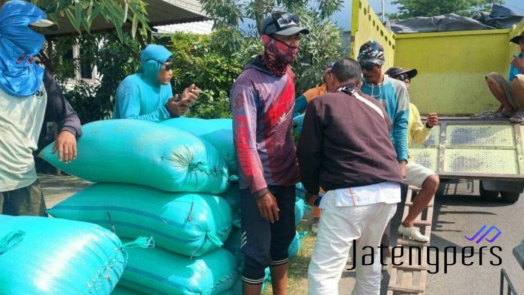 Jaga Harga Stabil, Pemerintah Serap Gabah Petani Rembang di Musim Panen