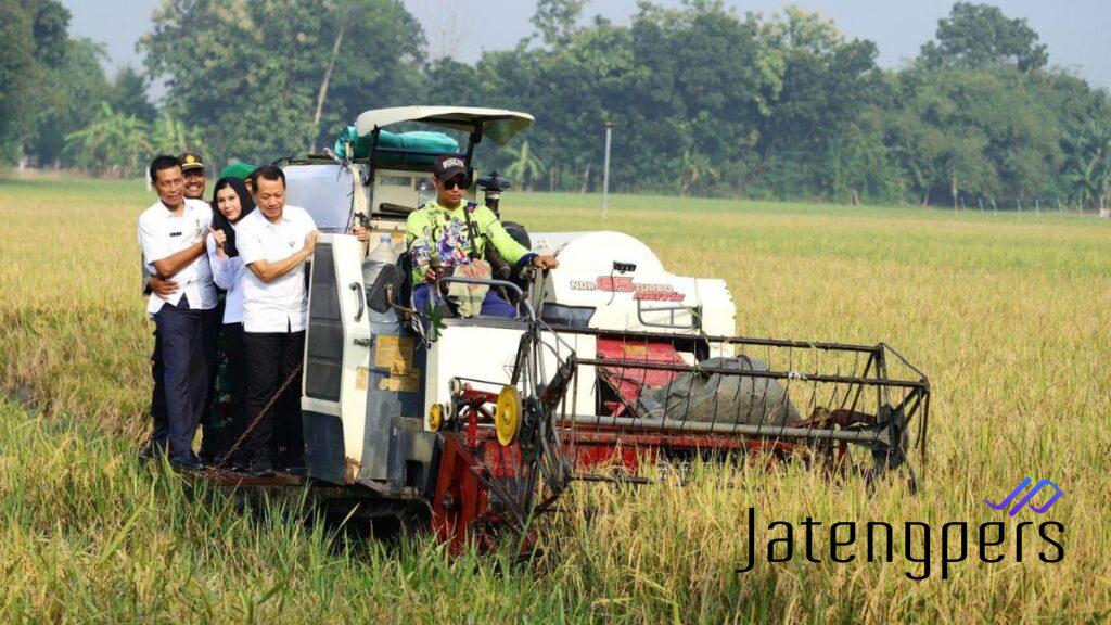 Swasembada Pangan Kudus Surplus! Panen Raya di Mejobo Capai Lebih dari 100 Ton Gabah